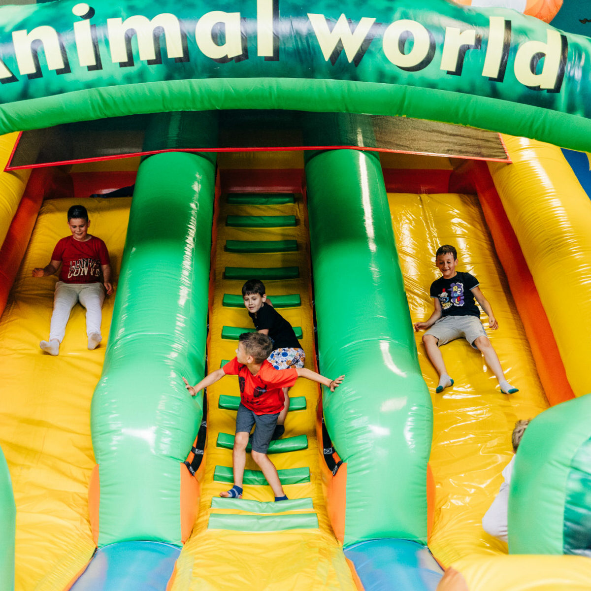 starli-igraonica-rodjendaonica-novi-sad-rodjendani-na-otvorenom