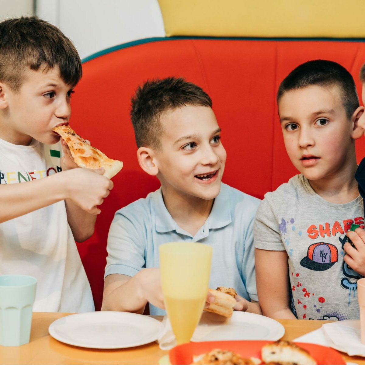 starli-rodjendaonica-novi-sad